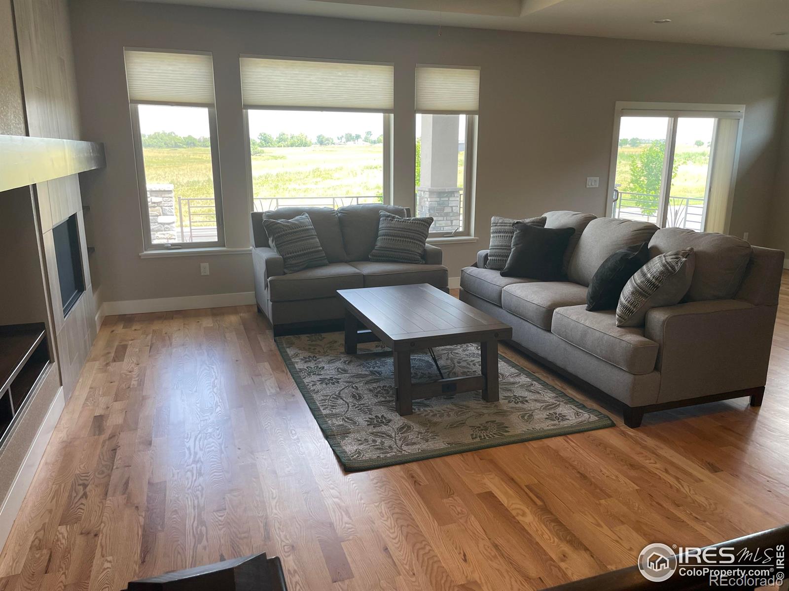 MLS Image #5 for 6928  summerwind court,timnath, Colorado