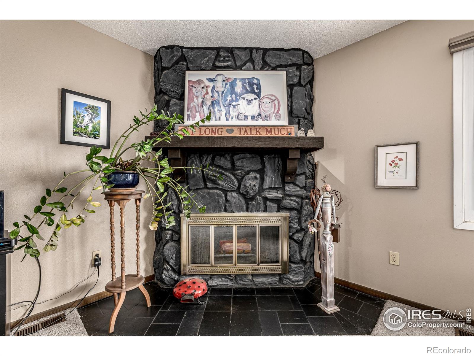 MLS Image #6 for 14  douglas drive,broomfield, Colorado