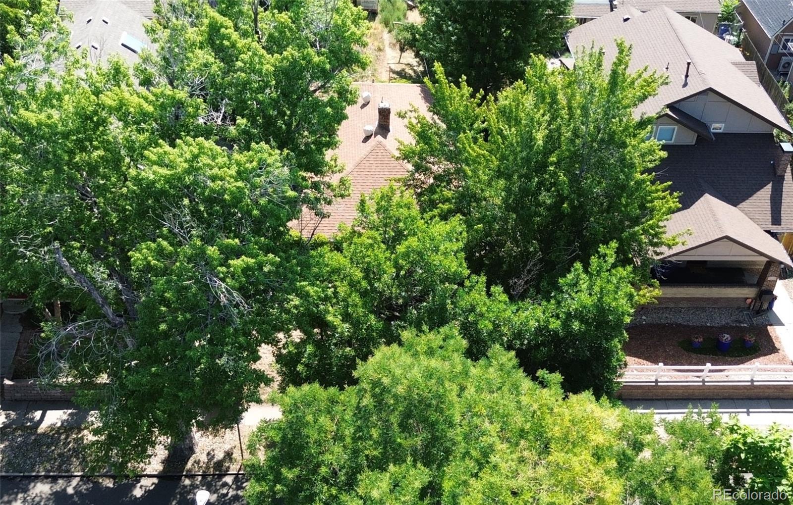 MLS Image #2 for 1854 s pennsylvania street,denver, Colorado