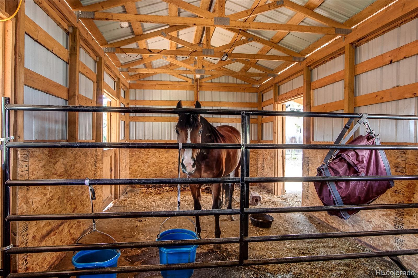 MLS Image #44 for 233  perry park avenue,larkspur, Colorado