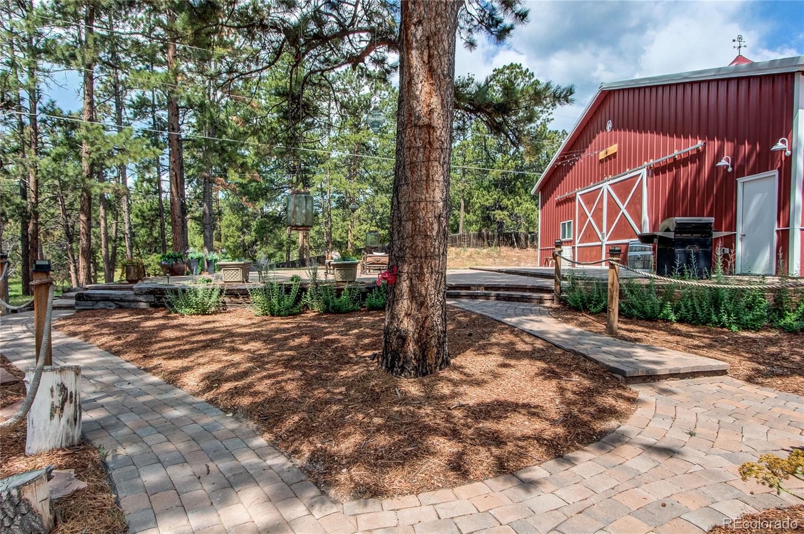 MLS Image #49 for 233  perry park avenue,larkspur, Colorado