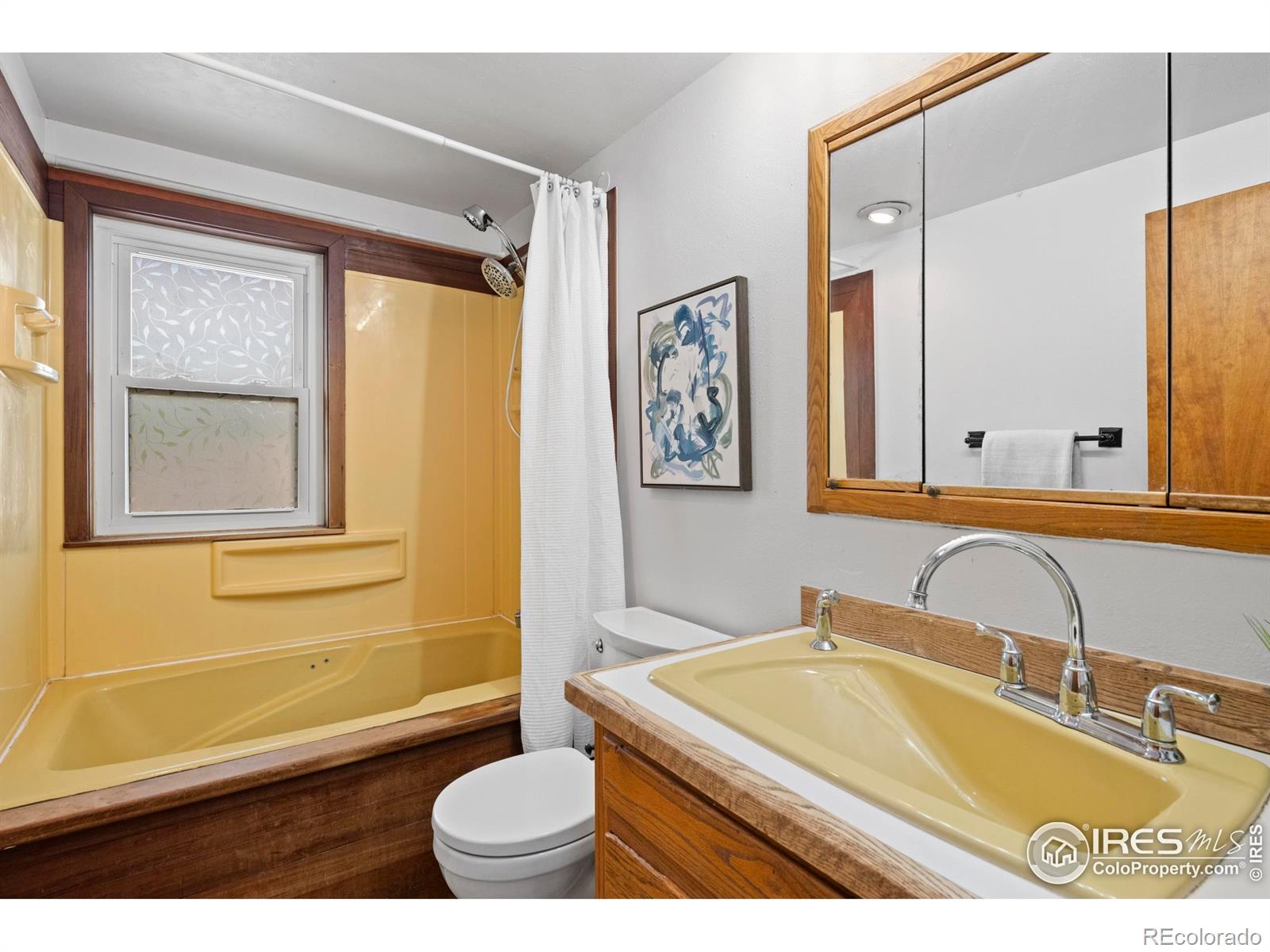 MLS Image #20 for 450  wells street,erie, Colorado