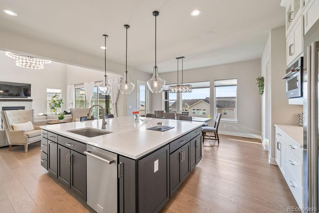 MLS Image #10 for 5390  edenborn way,castle rock, Colorado