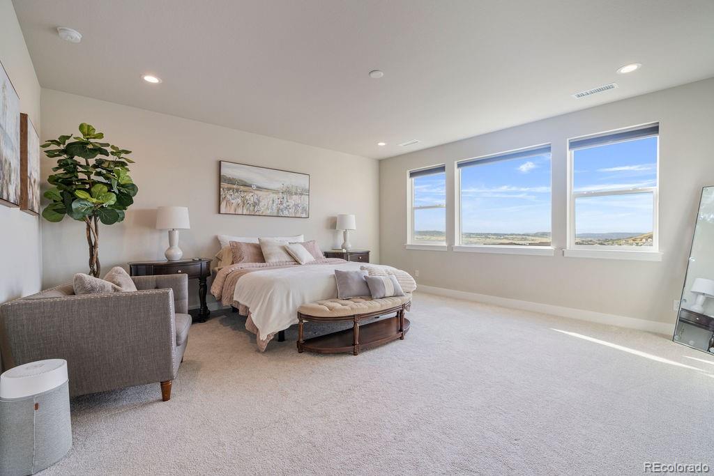 MLS Image #21 for 5390  edenborn way,castle rock, Colorado