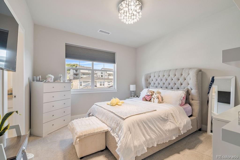 MLS Image #26 for 5390  edenborn way,castle rock, Colorado