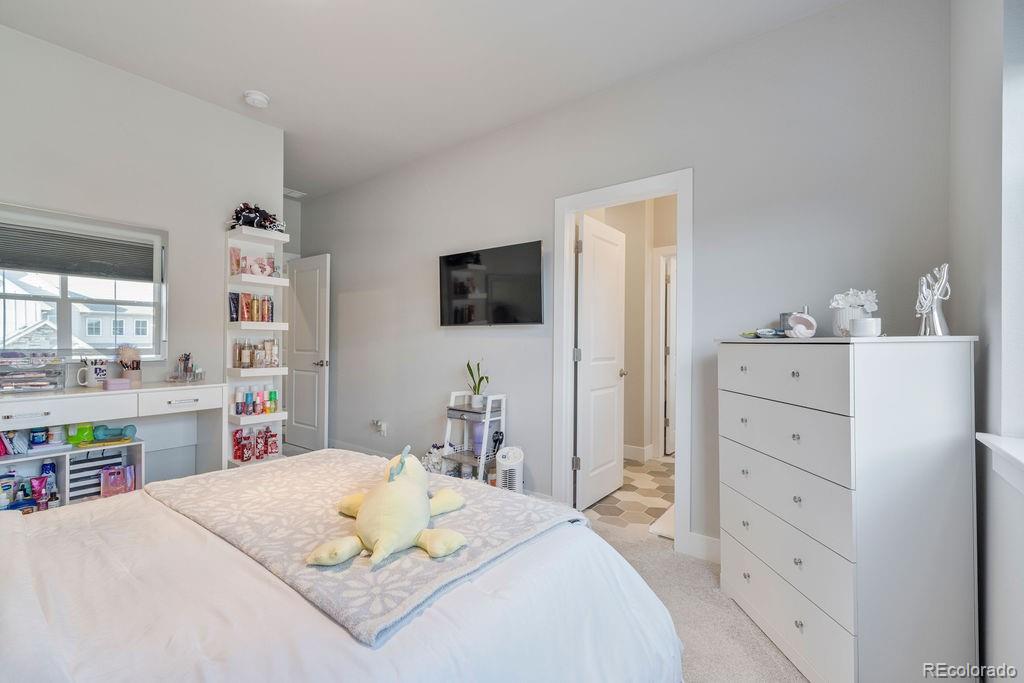 MLS Image #27 for 5390  edenborn way,castle rock, Colorado