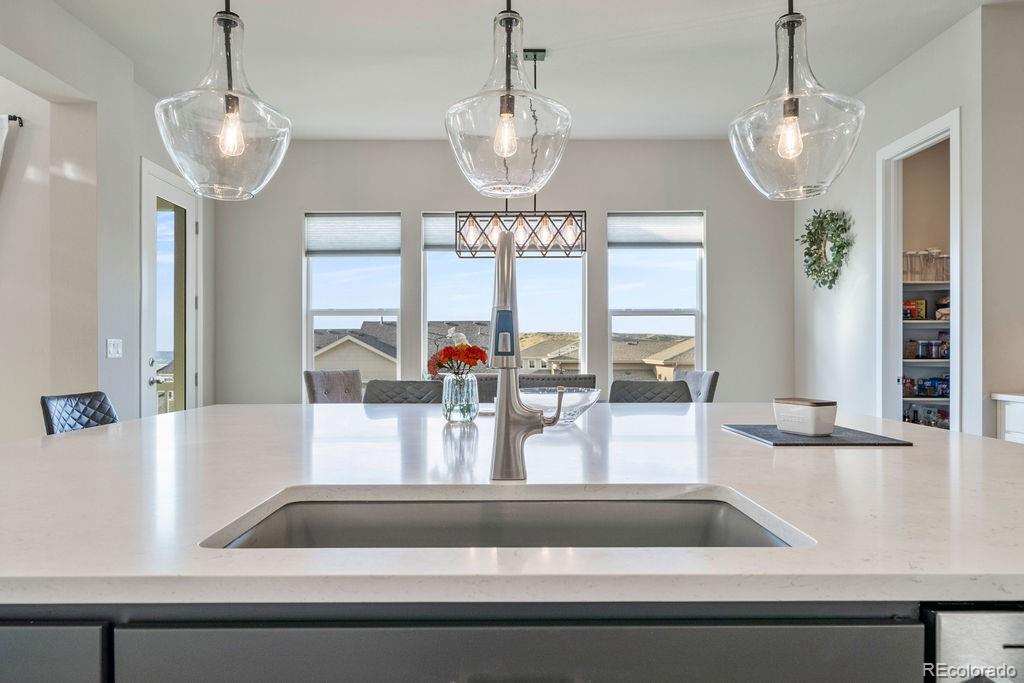 MLS Image #5 for 5390  edenborn way,castle rock, Colorado