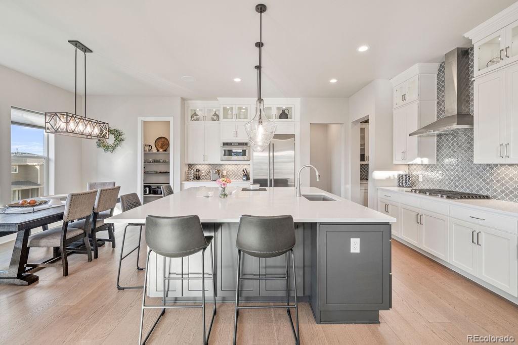 MLS Image #9 for 5390  edenborn way,castle rock, Colorado