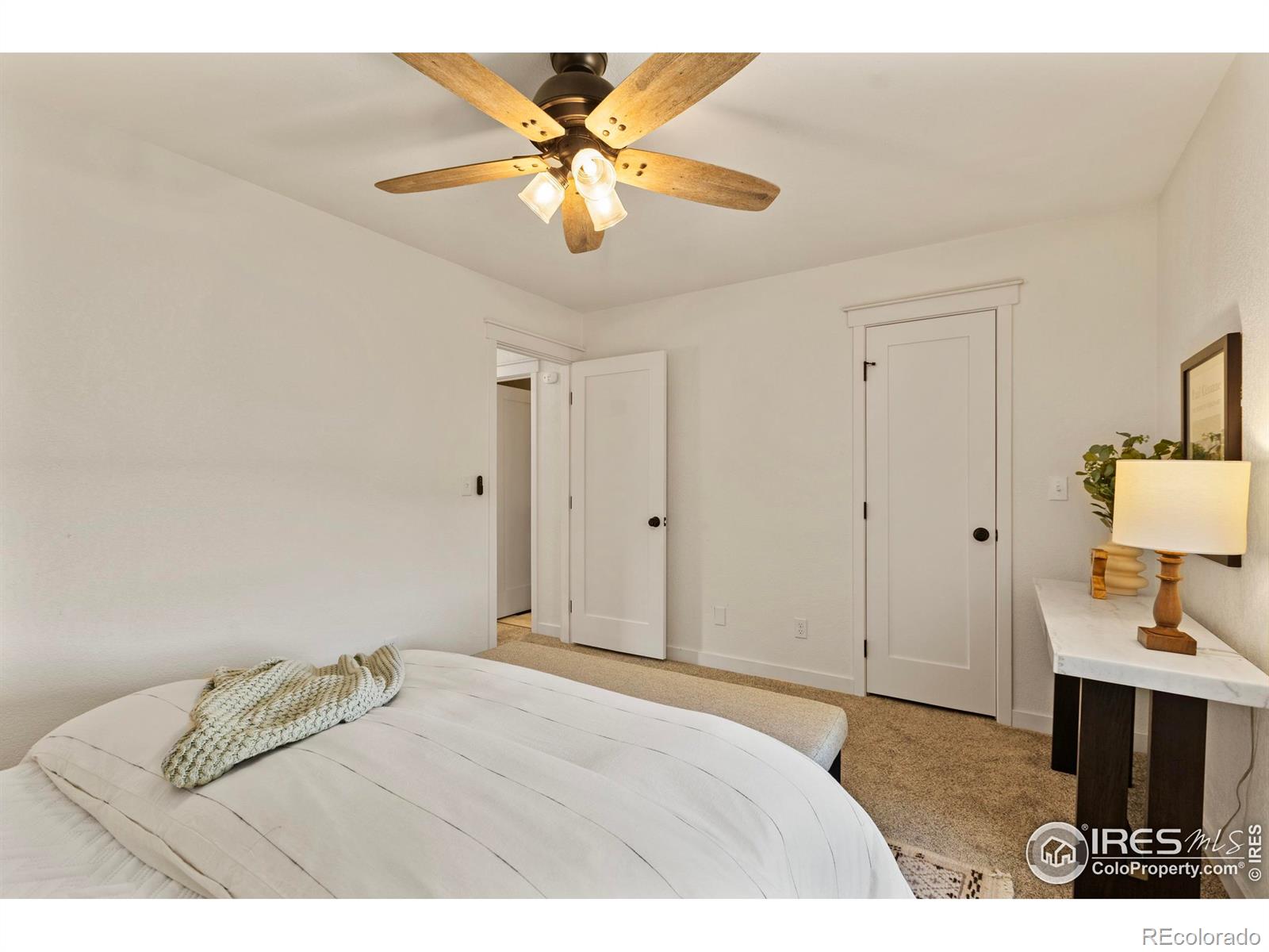 MLS Image #17 for 1013 e willox lane,fort collins, Colorado