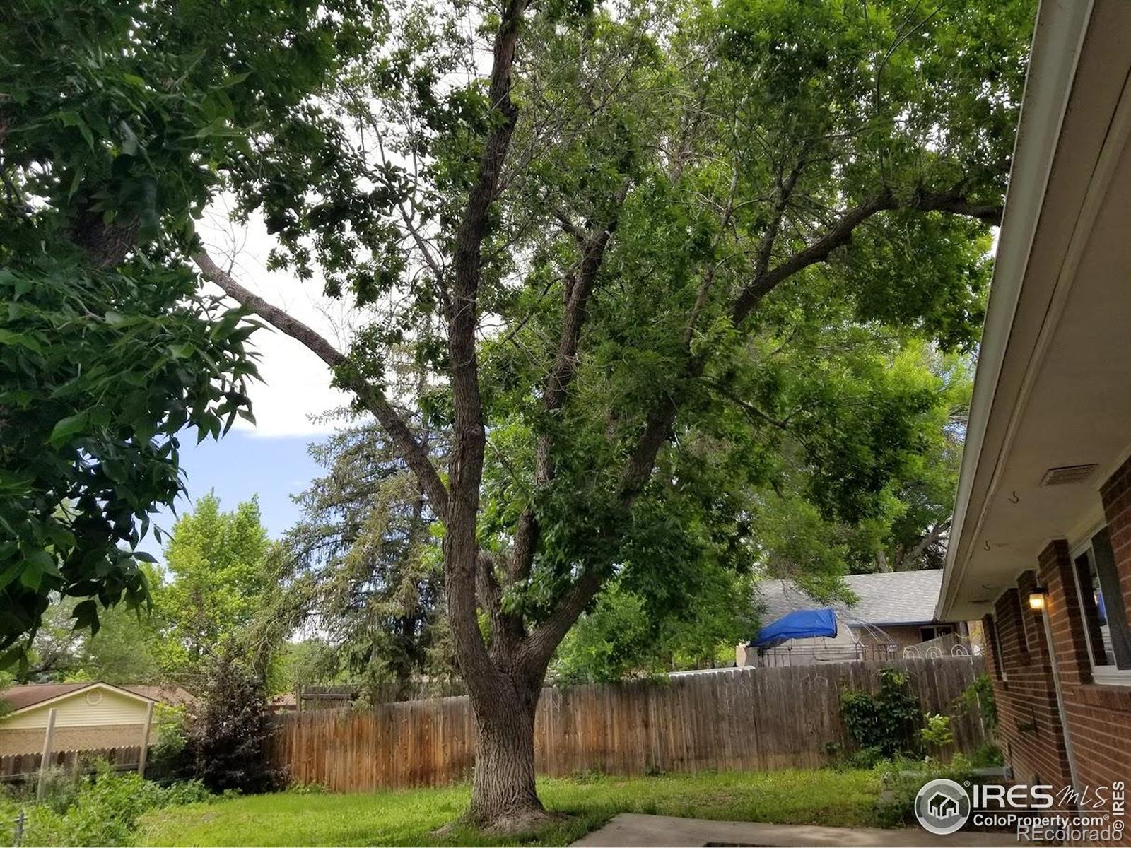 MLS Image #13 for 829  hubbard drive,longmont, Colorado