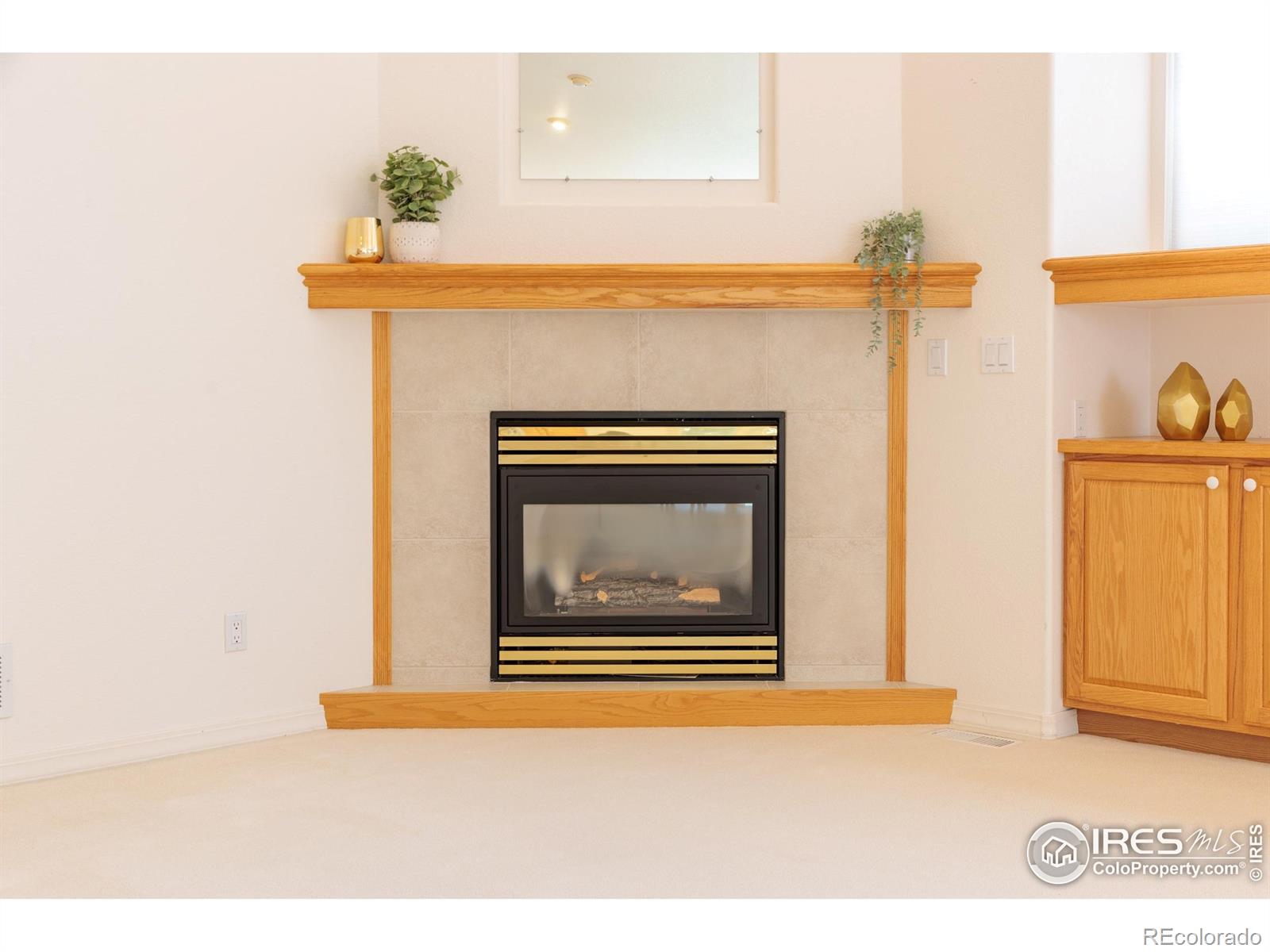 MLS Image #10 for 1809  little bear court,longmont, Colorado