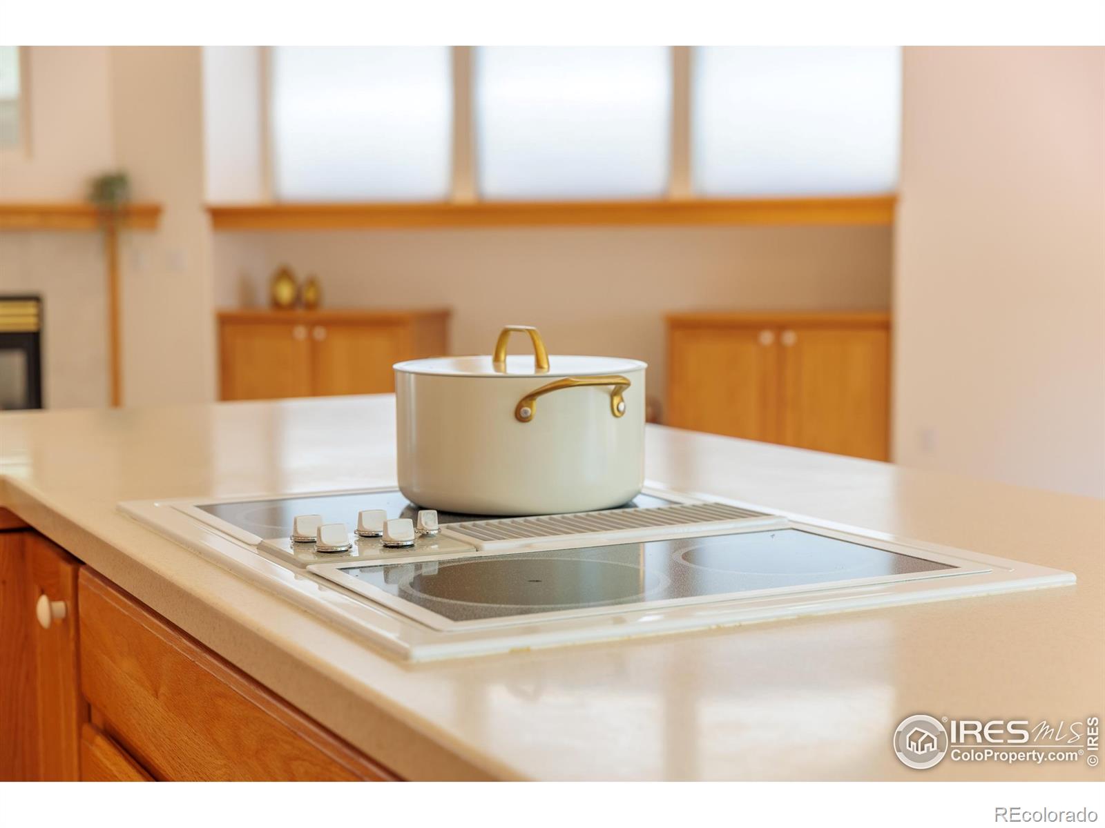MLS Image #17 for 1809  little bear court,longmont, Colorado