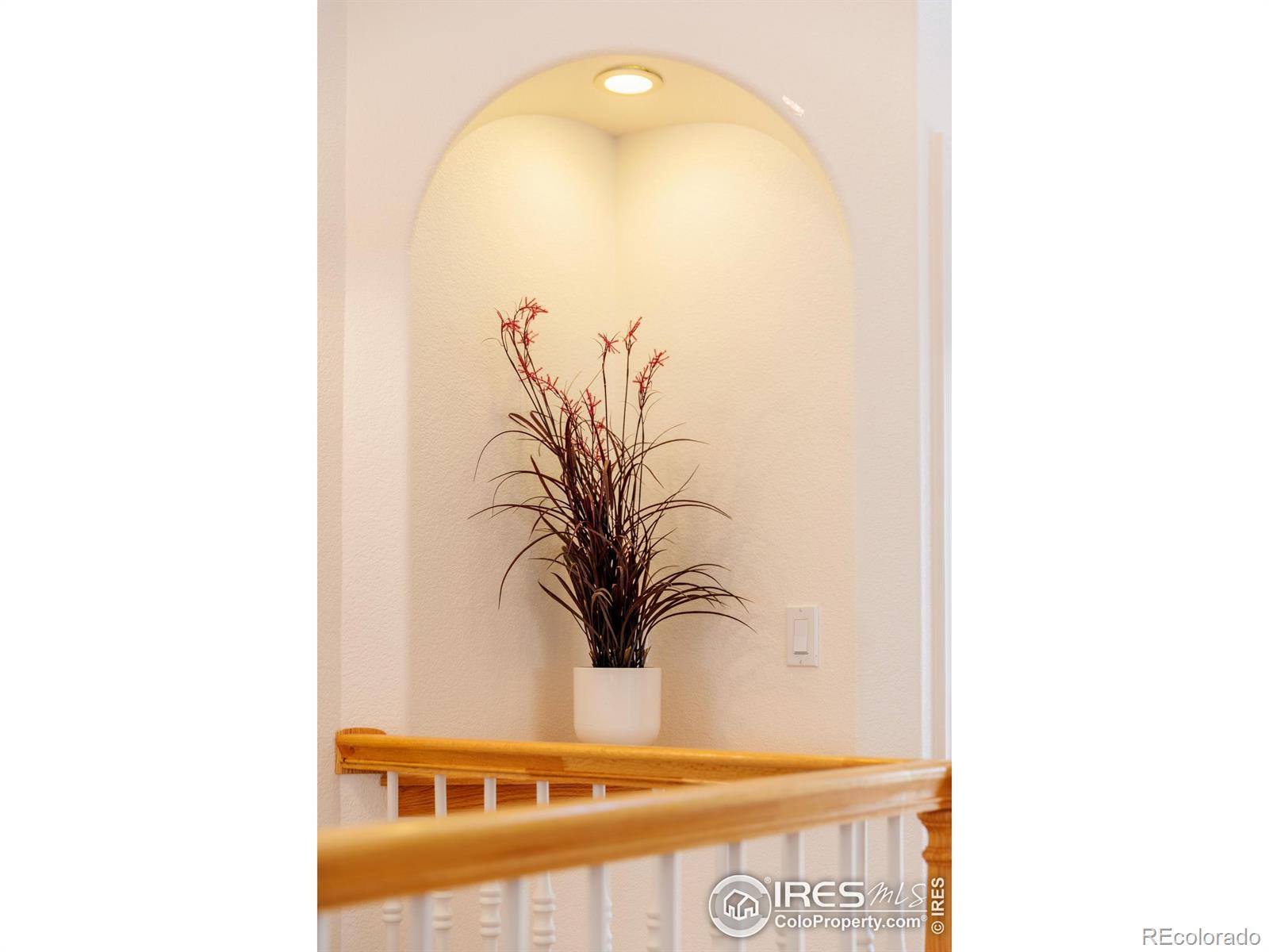 MLS Image #6 for 1809  little bear court,longmont, Colorado