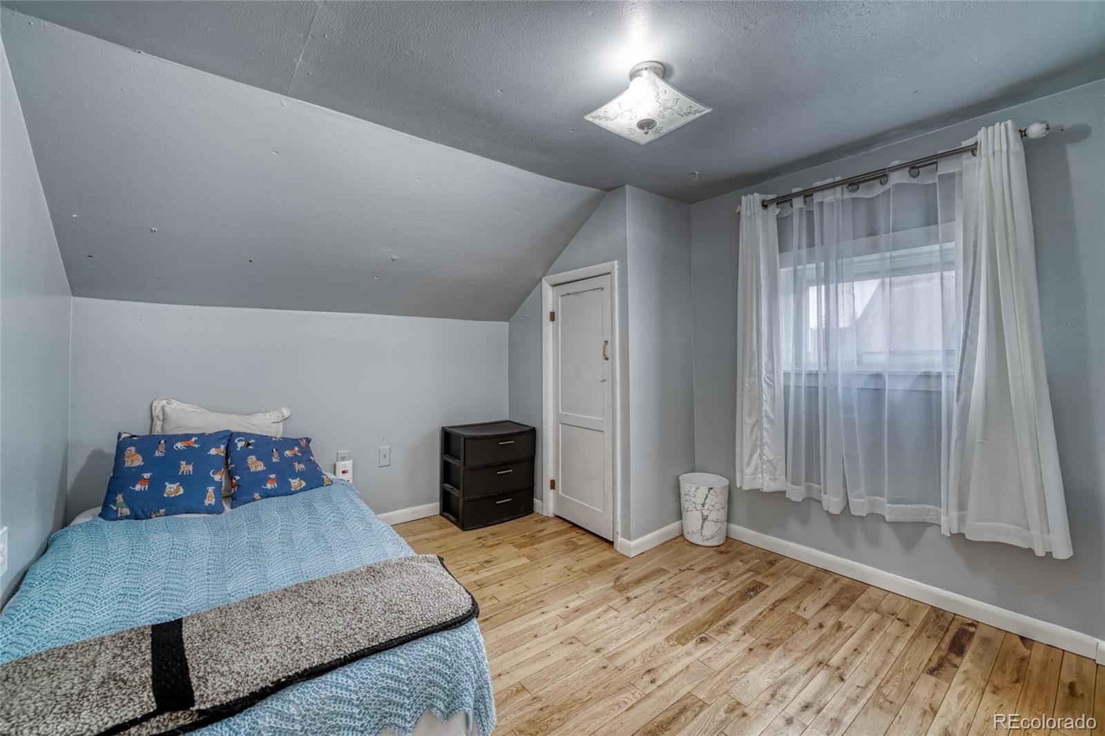 MLS Image #23 for 306  elm street,leadville, Colorado