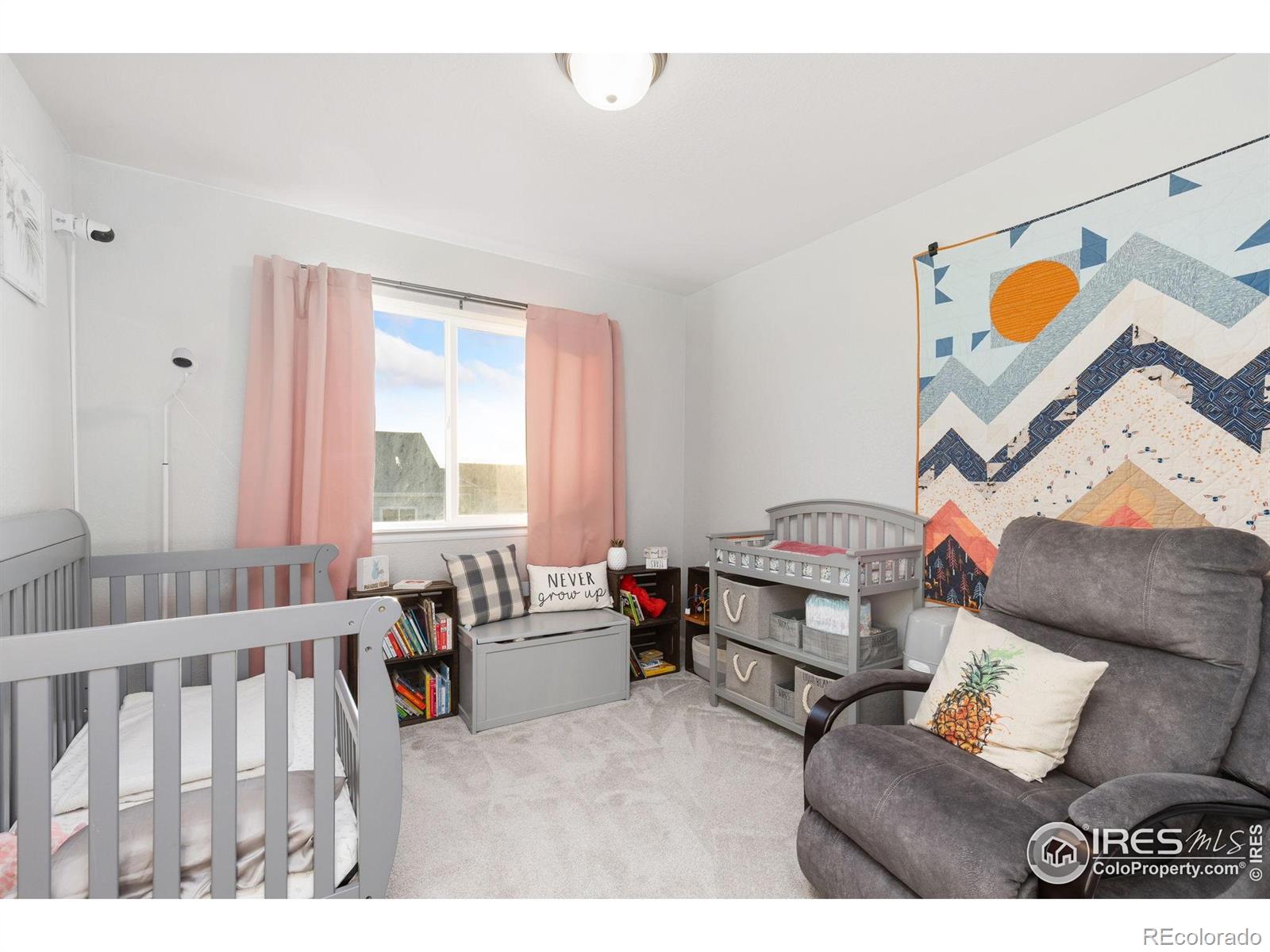 MLS Image #17 for 1495 s sunfield drive,milliken, Colorado