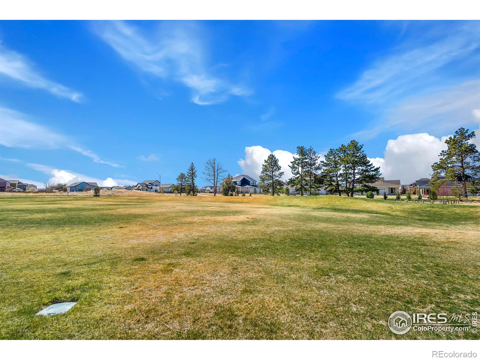 MLS Image #37 for 3333  wagon trail road,fort collins, Colorado