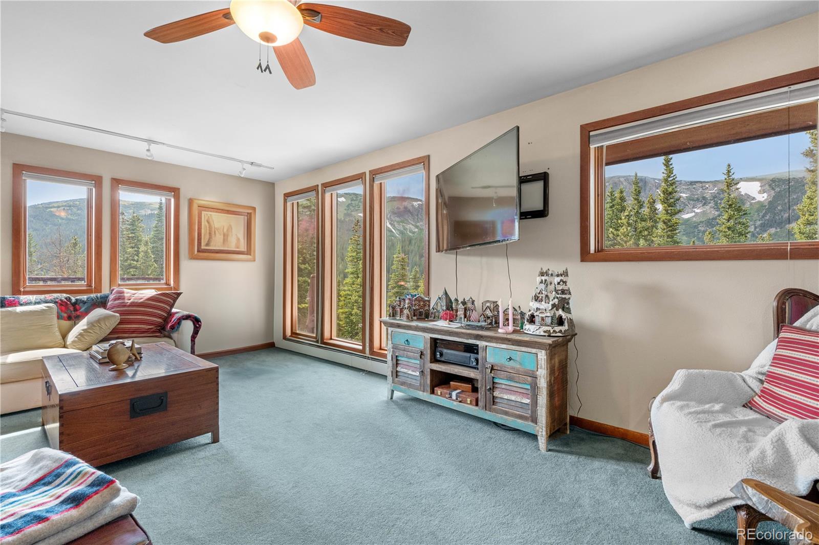 MLS Image #12 for 638  mine road,idaho springs, Colorado
