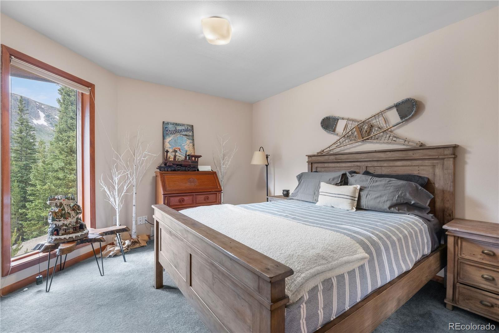 MLS Image #14 for 638  mine road,idaho springs, Colorado