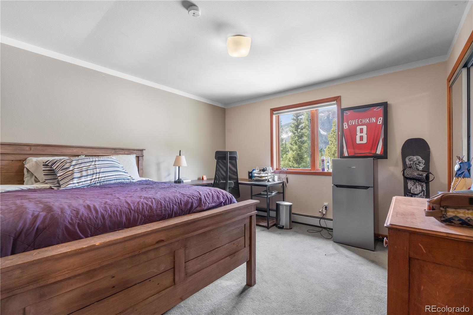 MLS Image #17 for 638  mine road,idaho springs, Colorado
