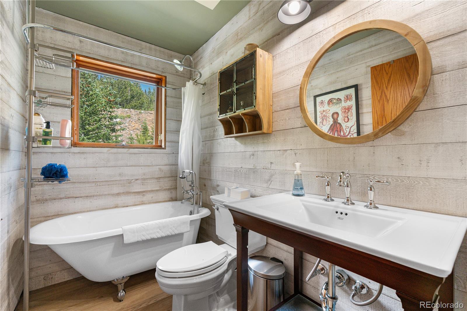 MLS Image #18 for 638  mine road,idaho springs, Colorado