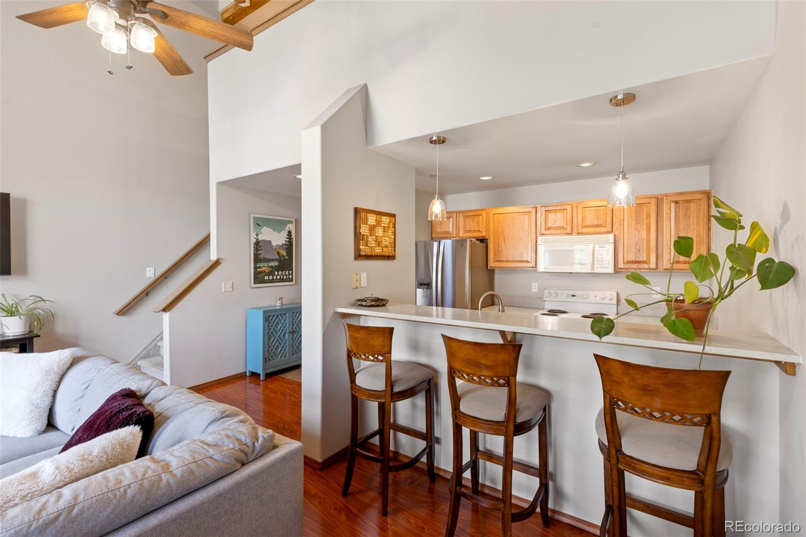 MLS Image #11 for 700  lakepoint drive,frisco, Colorado