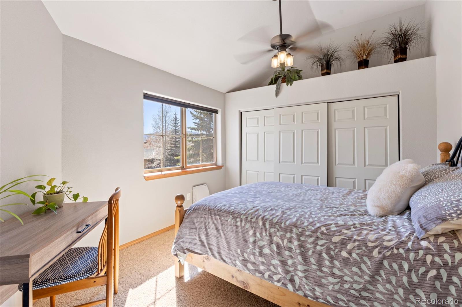 MLS Image #18 for 700  lakepoint drive,frisco, Colorado