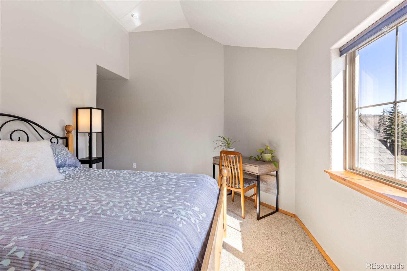 MLS Image #19 for 700  lakepoint drive,frisco, Colorado