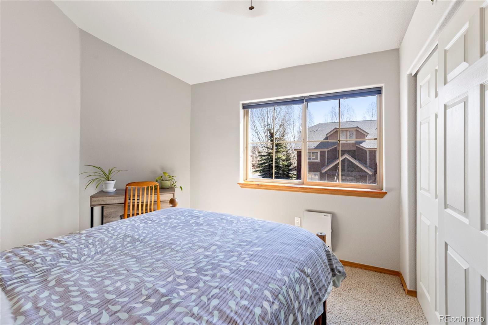 MLS Image #20 for 700  lakepoint drive,frisco, Colorado