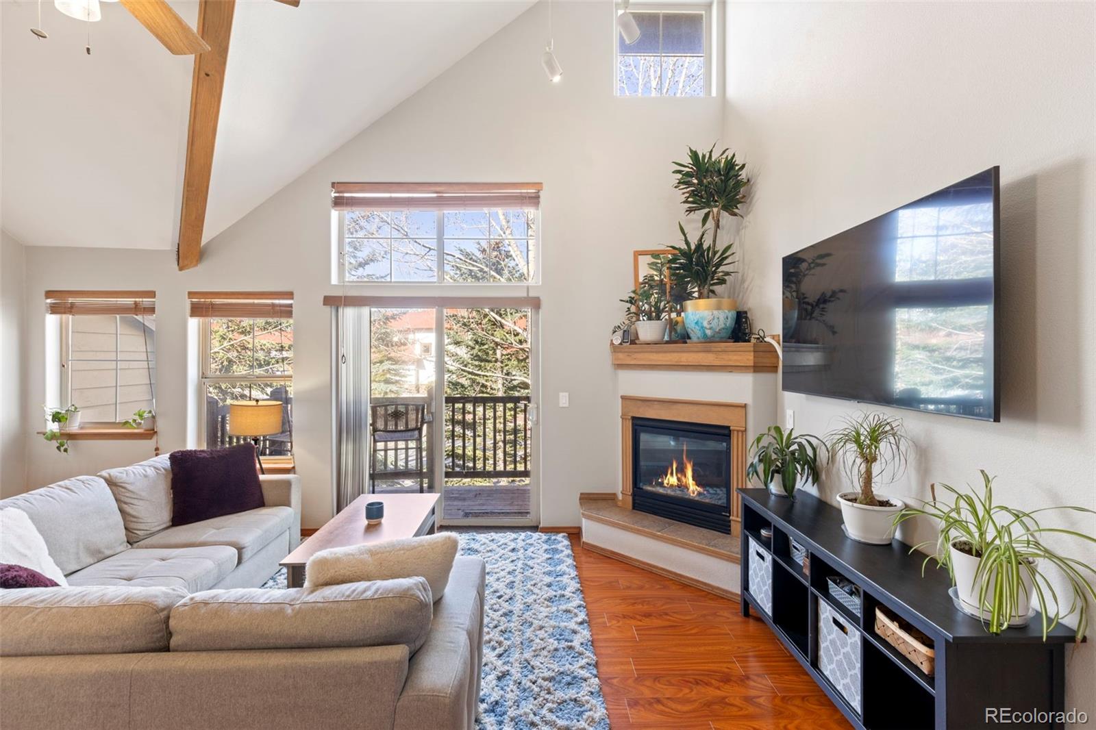 MLS Image #4 for 700  lakepoint drive,frisco, Colorado