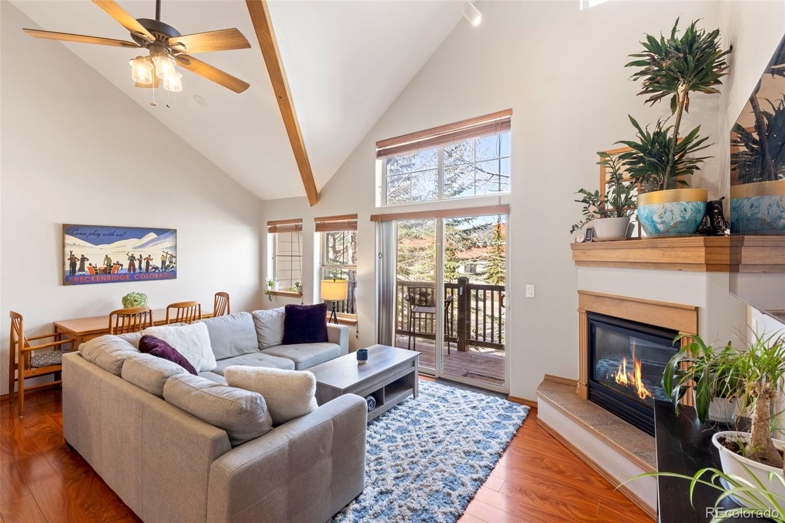 MLS Image #5 for 700  lakepoint drive,frisco, Colorado