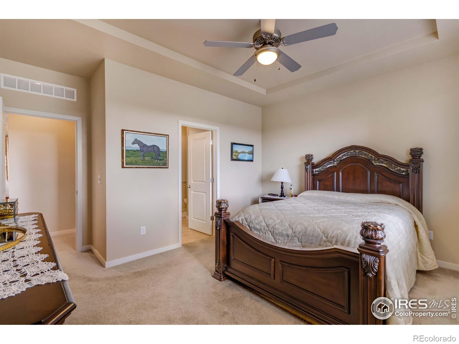 MLS Image #6 for 7213  horsechestnut street,wellington, Colorado