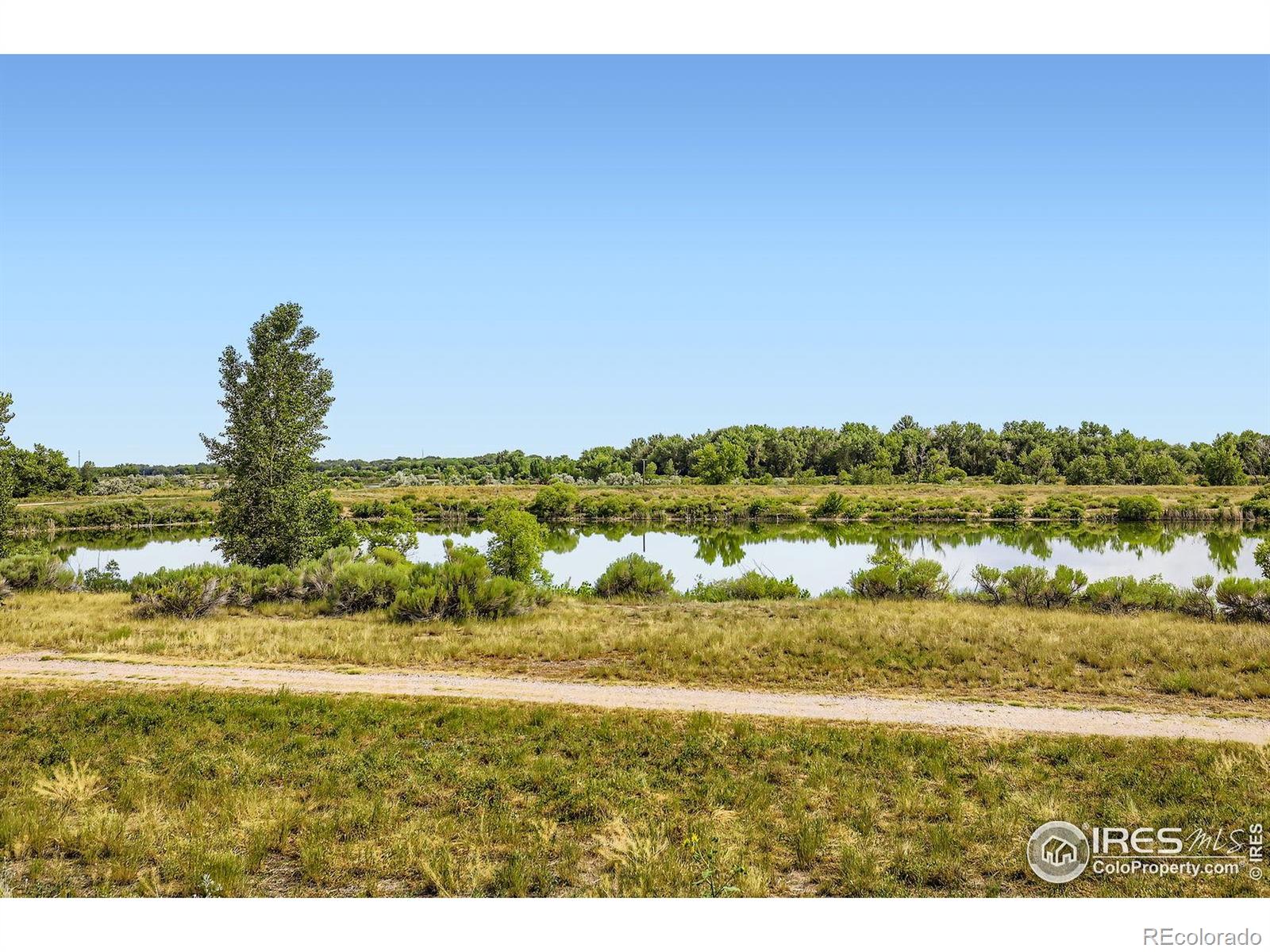 MLS Image #26 for 2609  cherly street,fort collins, Colorado