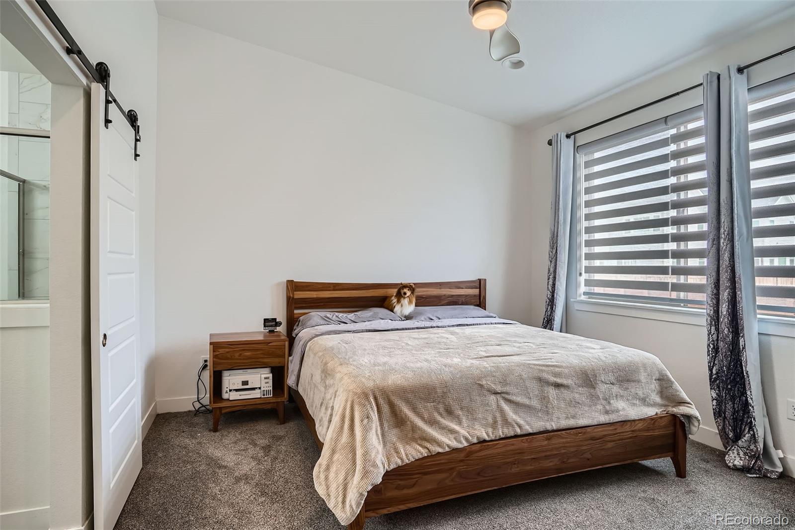 MLS Image #18 for 10095 e 59th avenue,denver, Colorado