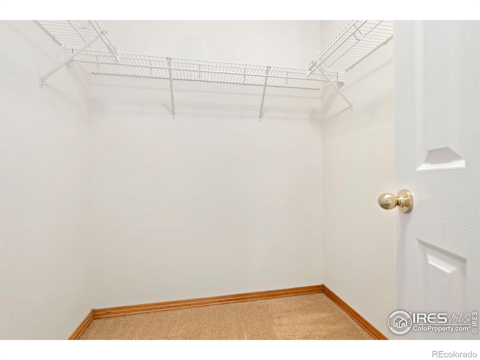 MLS Image #30 for 4603  dusty sage court,fort collins, Colorado