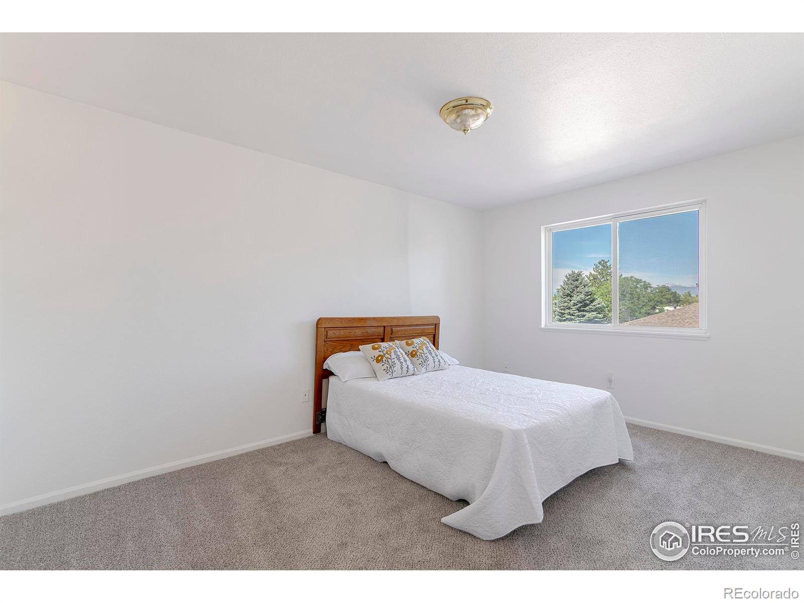MLS Image #23 for 2159  meadow court,longmont, Colorado