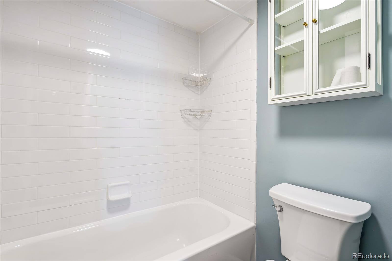 MLS Image #14 for 1255 n ogden street,denver, Colorado
