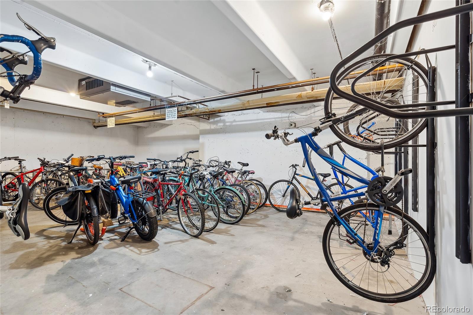 MLS Image #30 for 1255 n ogden street,denver, Colorado