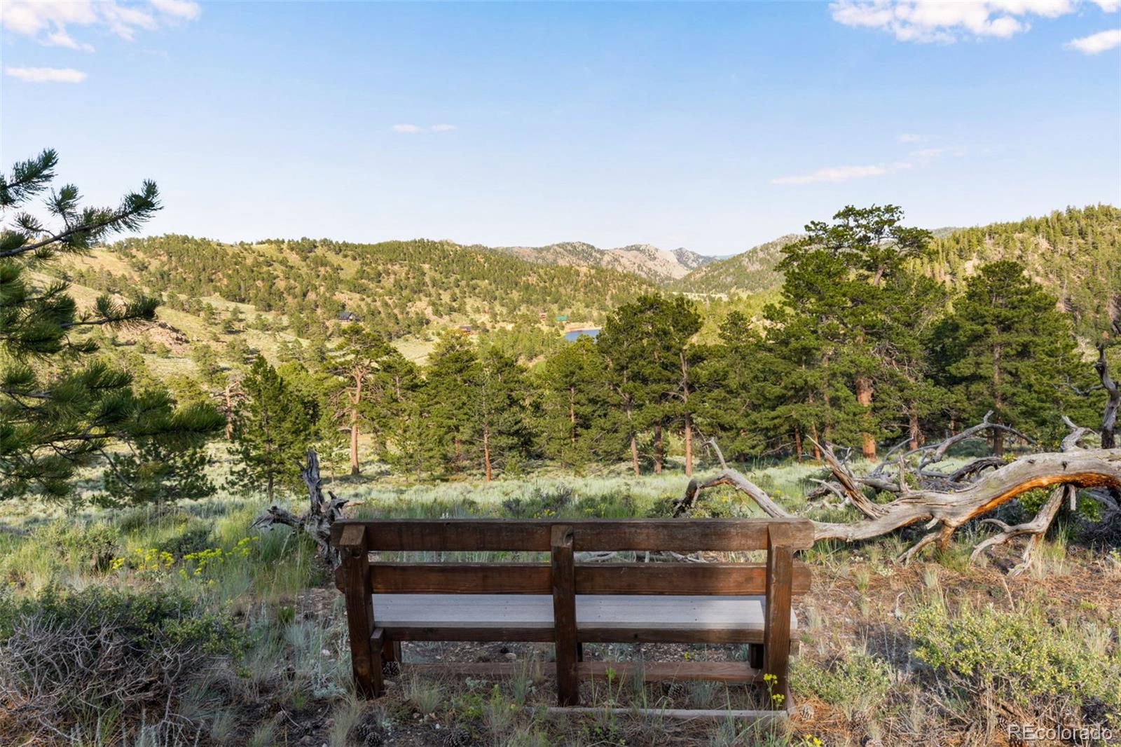MLS Image #28 for 434  caddo road,red feather lakes, Colorado