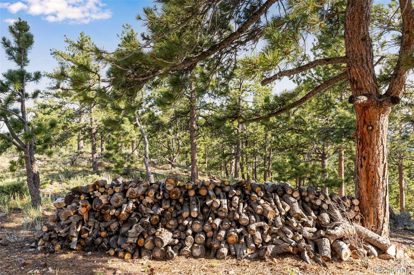 MLS Image #34 for 434  caddo road,red feather lakes, Colorado