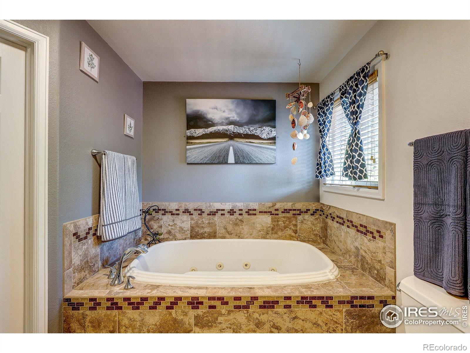 MLS Image #16 for 4241  fescue drive,loveland, Colorado