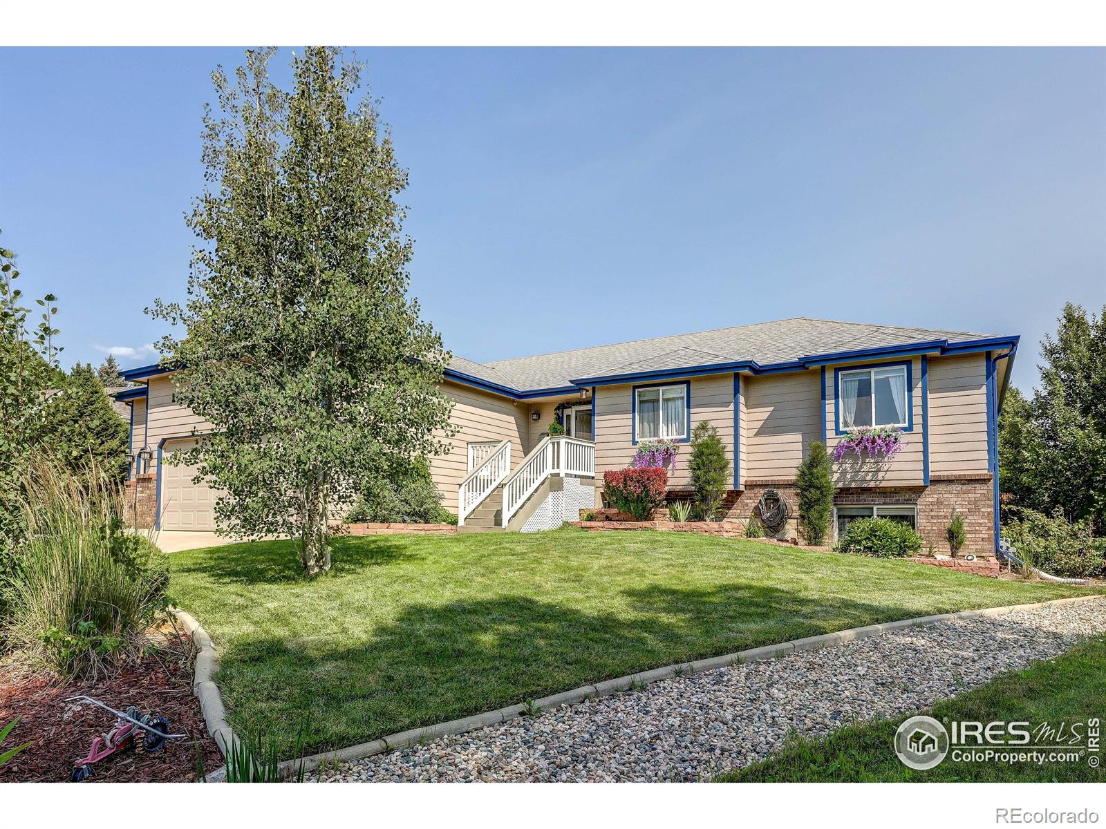 MLS Image #2 for 4241  fescue drive,loveland, Colorado