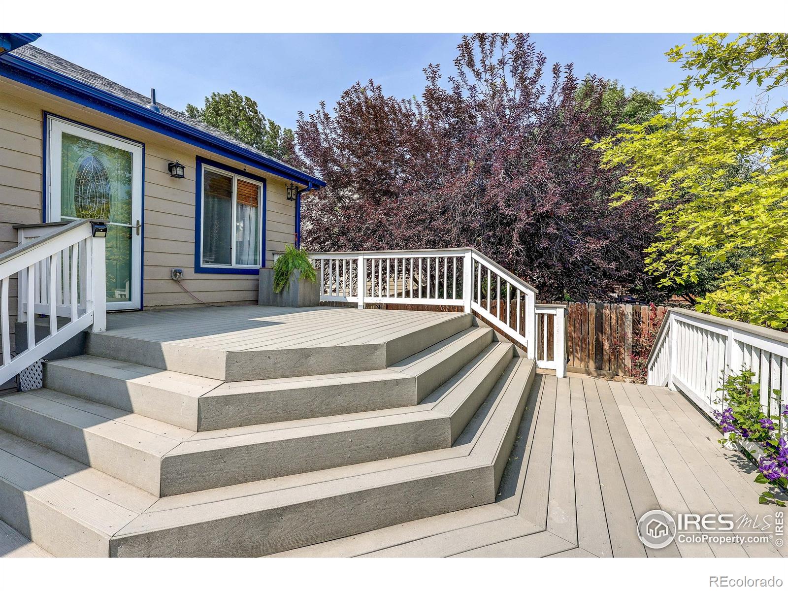MLS Image #27 for 4241  fescue drive,loveland, Colorado