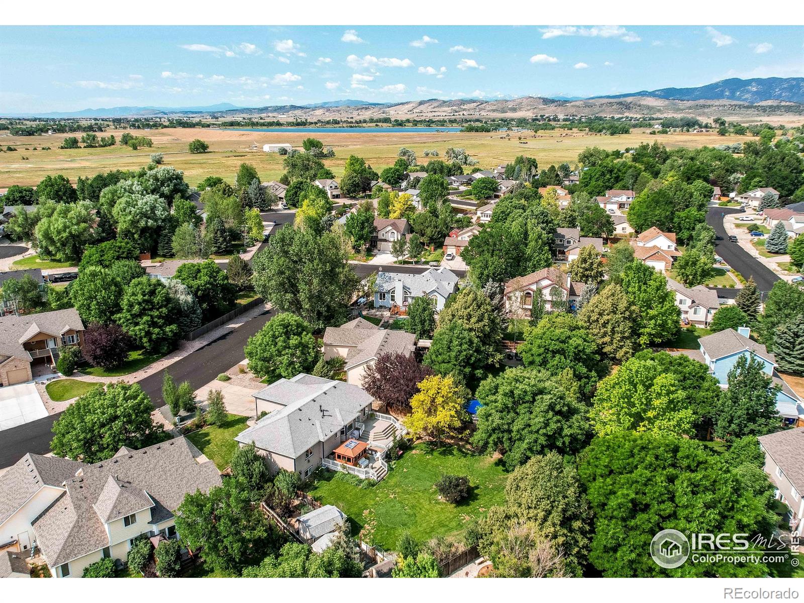 MLS Image #38 for 4241  fescue drive,loveland, Colorado