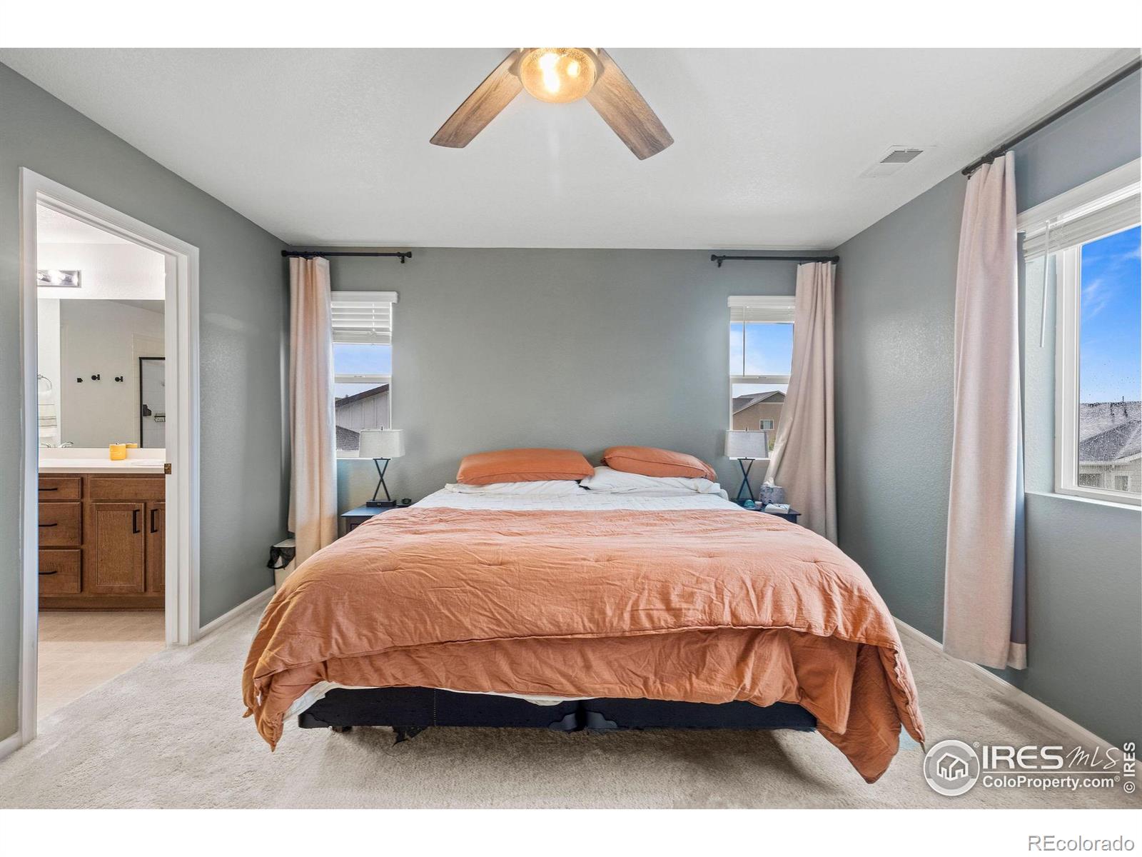 MLS Image #21 for 1228  argali drive,severance, Colorado
