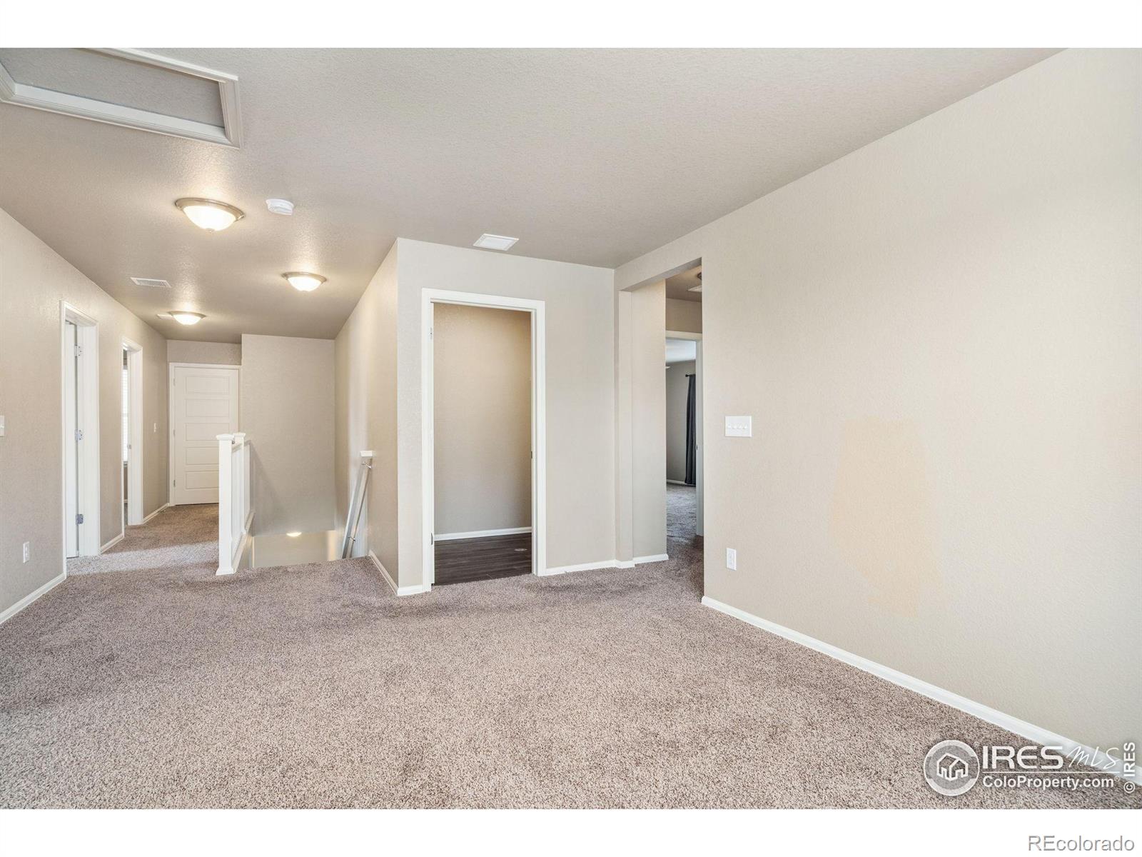 MLS Image #17 for 2283  stonefish drive,windsor, Colorado