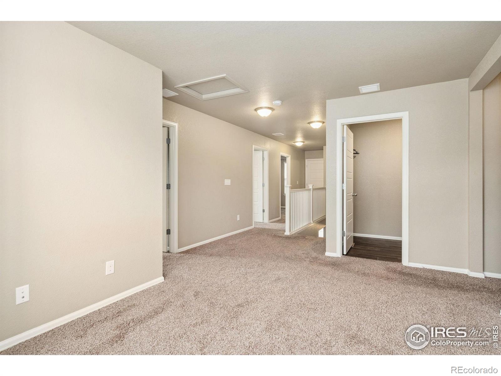 MLS Image #18 for 2283  stonefish drive,windsor, Colorado
