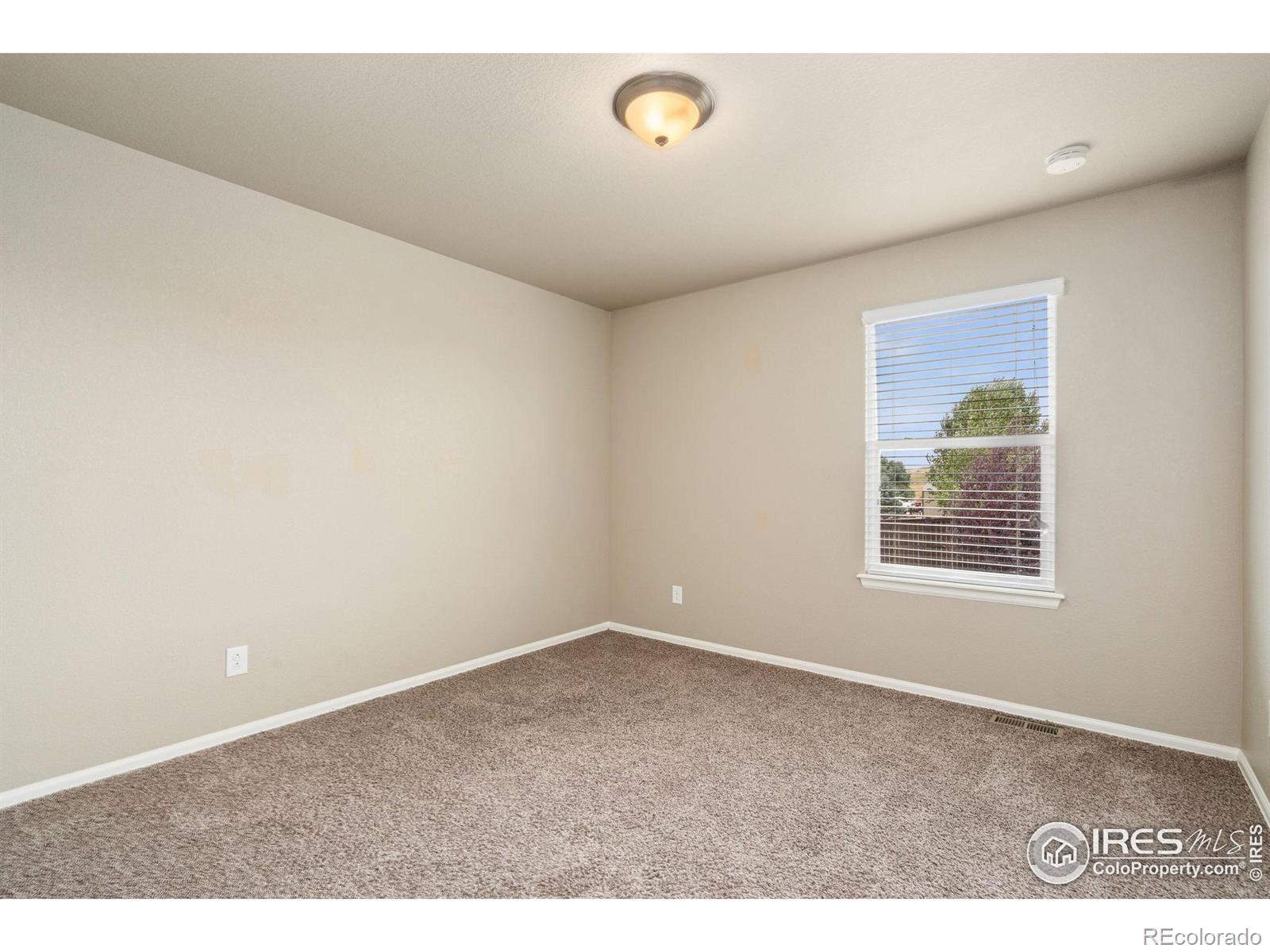 MLS Image #29 for 2283  stonefish drive,windsor, Colorado
