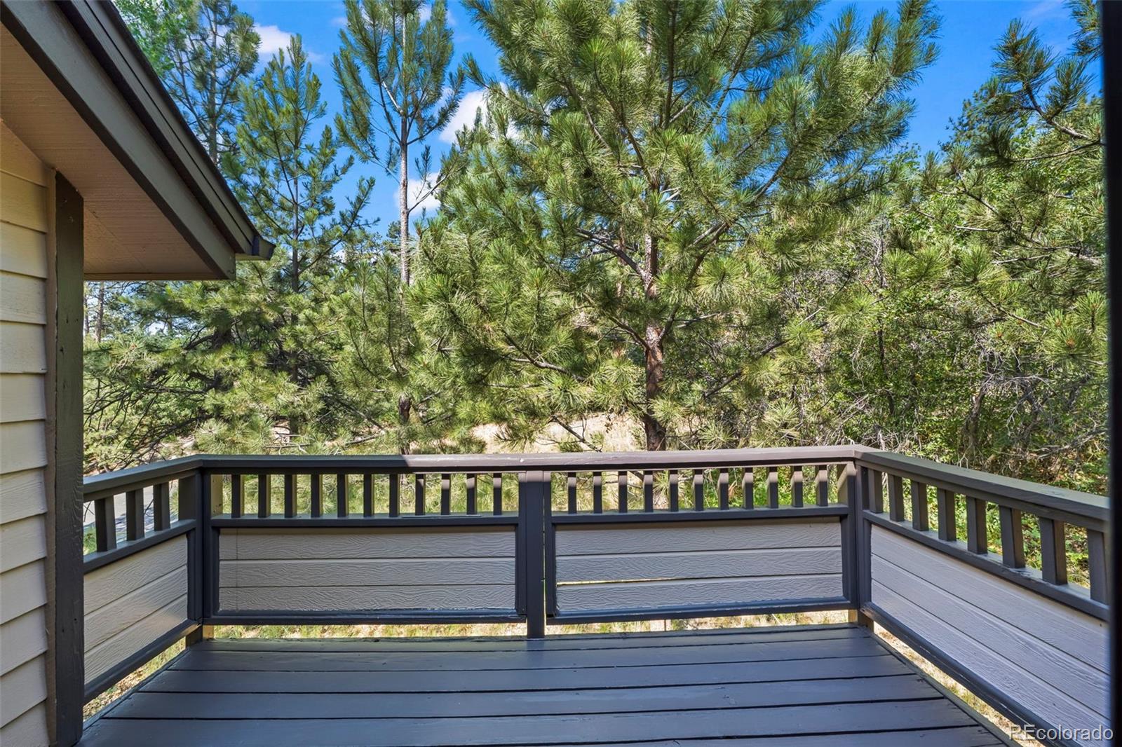 MLS Image #26 for 4219  morning star drive,castle rock, Colorado