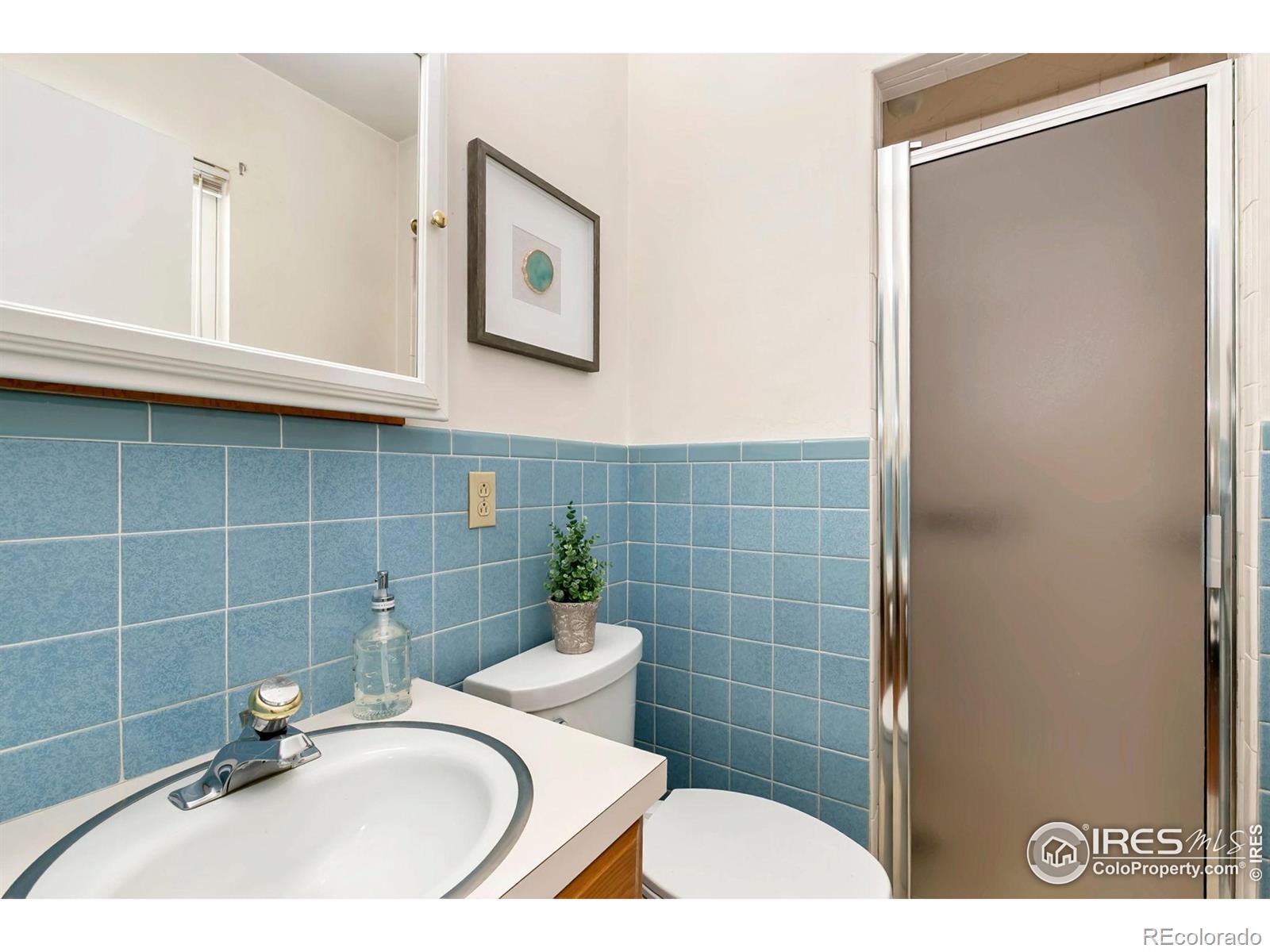 MLS Image #15 for 1108  ellis street,fort collins, Colorado