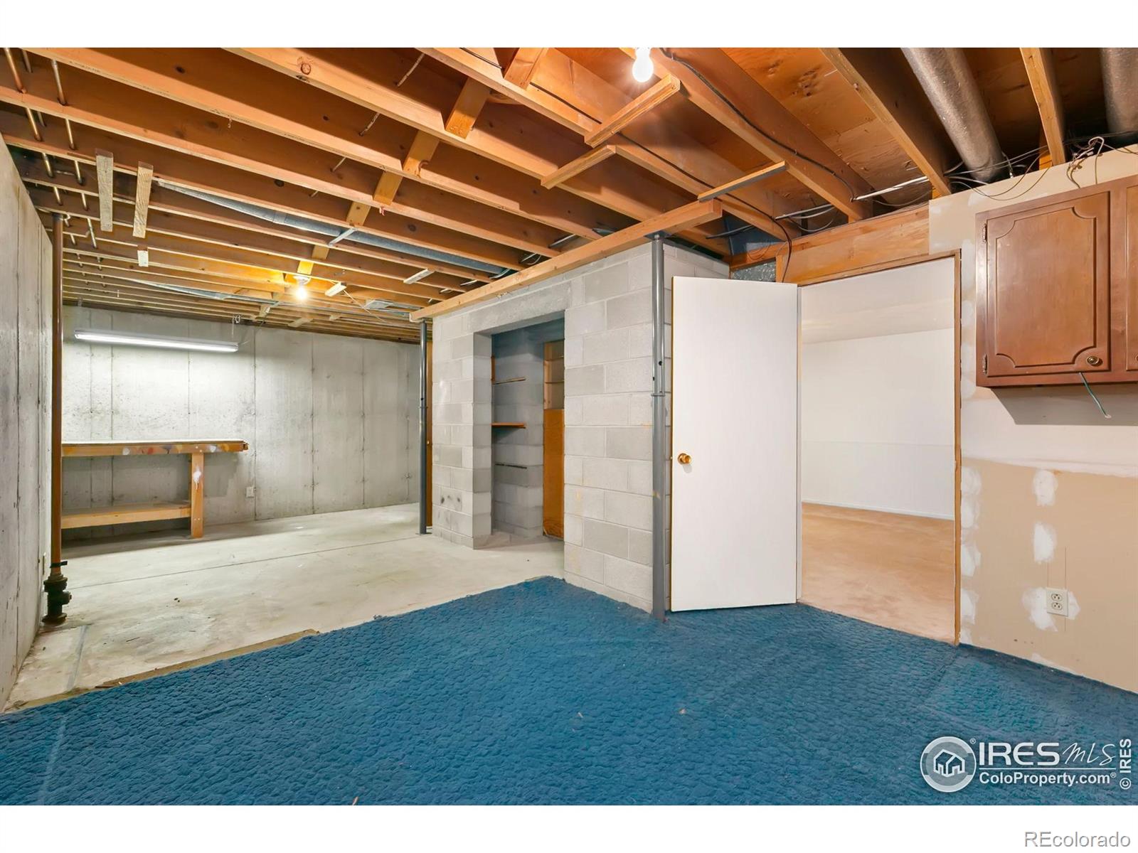 MLS Image #20 for 1108  ellis street,fort collins, Colorado